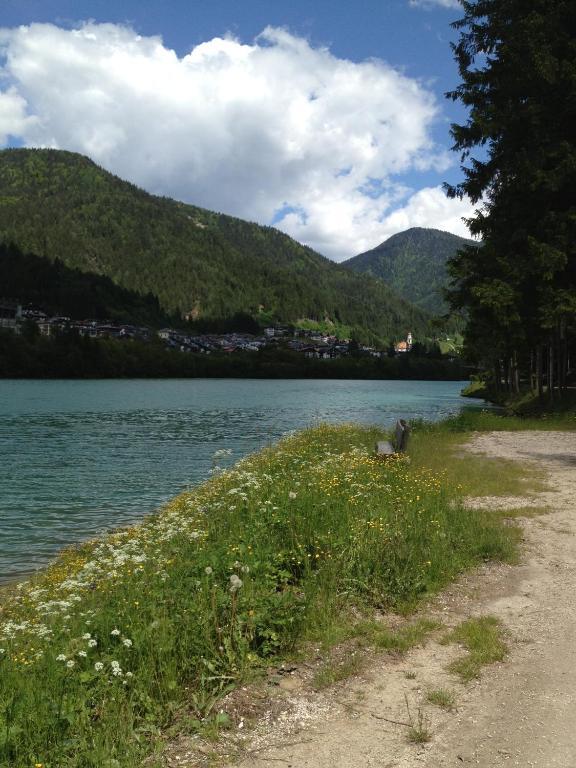 Al Sole Hotel Auronzo di Cadore Eksteriør billede